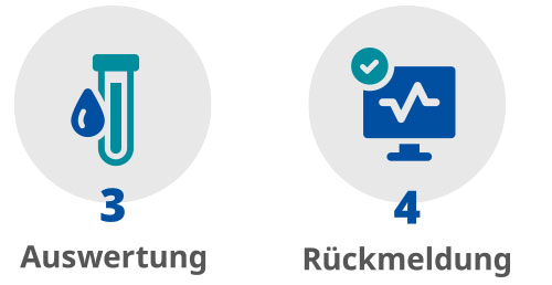 Proteomis-Profil – Ablauf – In wenigen Schritten zum aussagekräftigen Ergebnis: 3 Auswertung 4 Rückmeldung
